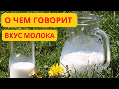 Вкус молока от коровы. О чём он говорит?