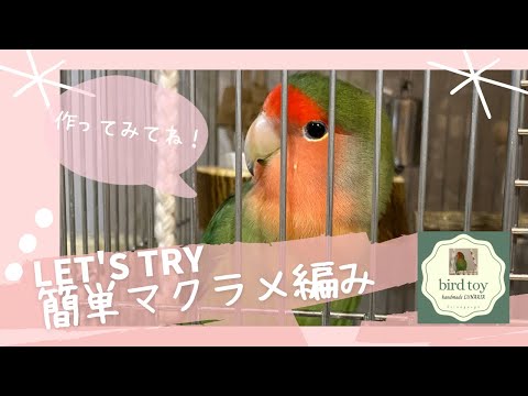 コザクラインコ／マクラメ編みでテントを取り付けたよ！