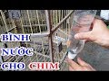 chế bình nước cho chim