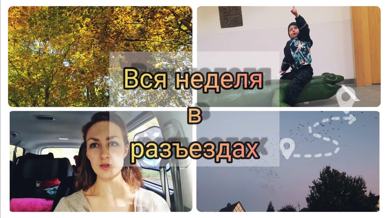 Мирька из германии дзен
