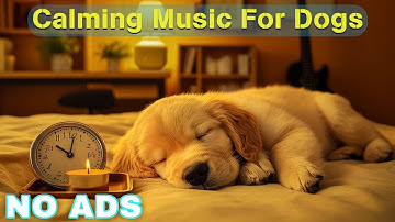 12 HOURS of Dog Calming Music For Dogs🎵Anti Separation Anxiety Relief Music🐕Sleep Dog Healing🎧💗