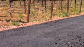 DOPE 30 Dust Control by Norcal Ag Service