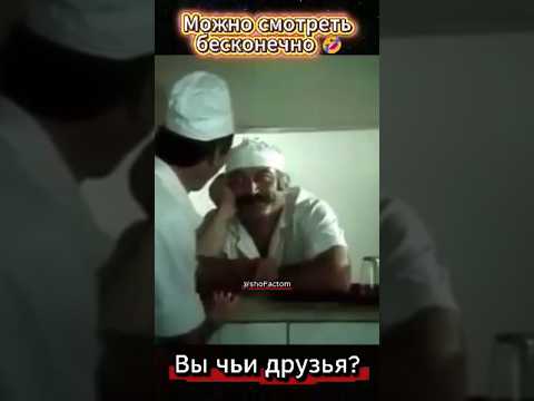 Вы чьи друзья — мои или медведя? 🐻 Комедия, которую можно смотреть бесконечно! #shorts