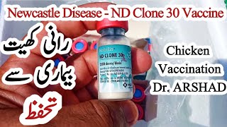 How do Use ND Clone 30 Vaccine | Vaccination of Chickens Against Newcastle Disease | Dr. ARSHAD