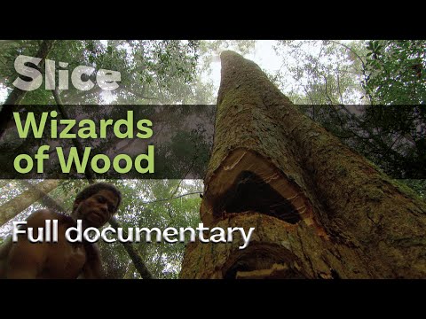 Wizards of Wood SLICE