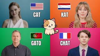 Native speakers battle with common words | English vs. Dutch vs. Portuguese vs. French