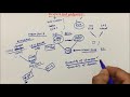 Mixture and Alligation in hindi | Introduction | Pratik shrivastava sir