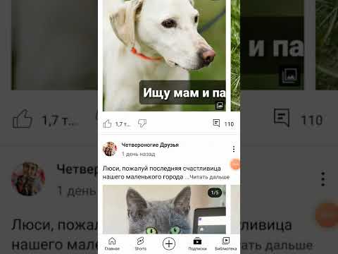 вышел новый репост