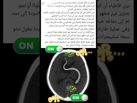 غ اكس يوتو امر الص السع فلس لند ككند مص الاما رام ترك روس فرن بري اسب الم      الجز