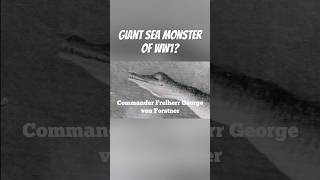 Giant Sea Monster of WW1: U-28 Creature