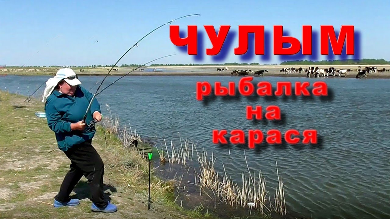 Чулым новосибирской рыбалка. Река чулым новосибирская область рыбалка. Чулым новосибирской рыбалка. Река чулым рыбы. Чулым новосибирской рыбалка.