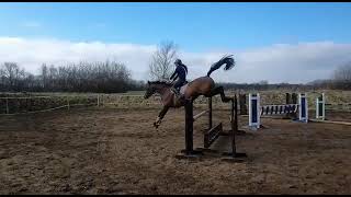 Ad ref 247629   Video 3