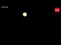 Blood Moon Eclipse 2025 LIVE I Blood Moon Phenomenon; Final 2025 Lunar Eclipse I Blood Moon