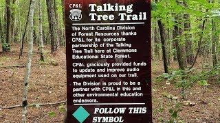 Talking Trees At Clemmons Educational State Forest Vlog