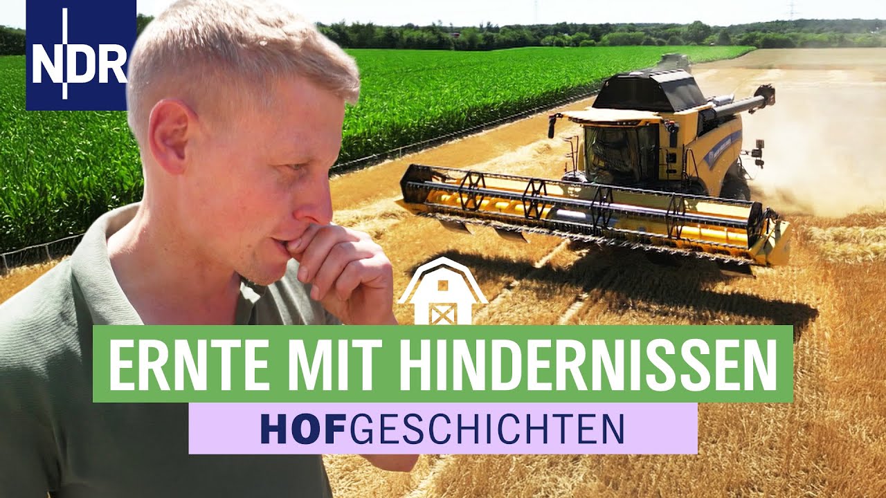 Es geht los: die Gerste wird gedroschen | Hofgeschichten: Leben auf'm Land (340)