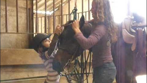 Lucius Best  ***For up-to-date info, price, etc., go to our website***