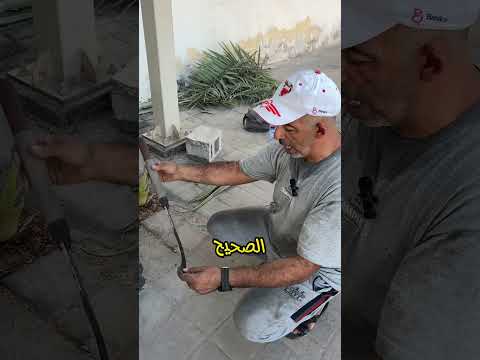 طريقة غرس الفسيلة حتى يستقيم الجذع مستقبلا نخلة زراعة الاسطح البحرين الزراعة المنزلية الزراعة