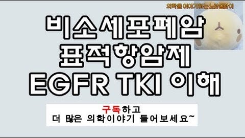 비소세포폐암(NSCLC) 표적 항암치료제: EGFR TKIs(gefitinib, erlotinib) 원리(mechanism)