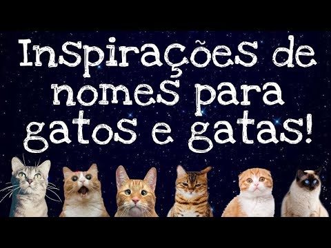 Vídeo: Nomes Para Gatos Que Começam Com Z