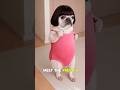 The Most Dramatic Dog On Earth 😂 #animals #facts #shorts