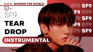 SF9 -  Tear Drop | Official Instrumental