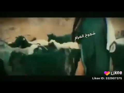 سارحوني بي غنامهم حمالوني العصيه حلات واتس اب