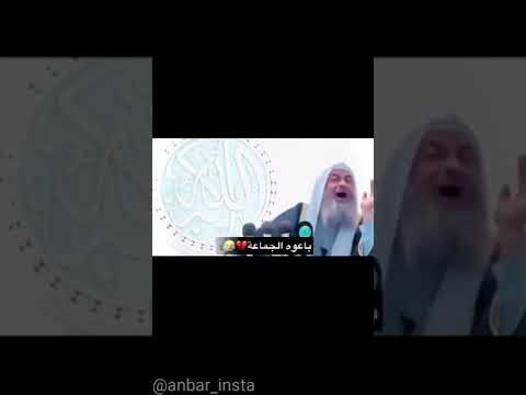 الشيخ وجسر المسيب 