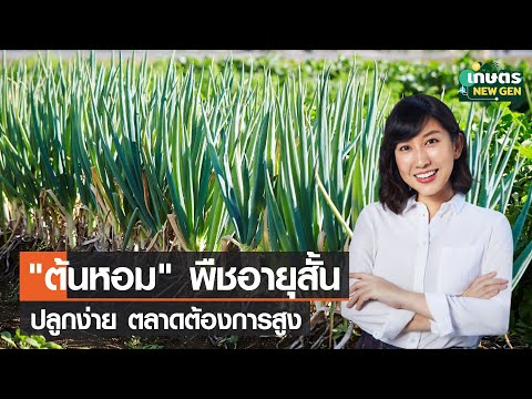 วีดีโอ: พืชหอมในสภาพอากาศแห้ง – การเลือกพืชในทะเลทรายที่มีกลิ่นหอม