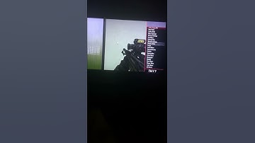 Black Ops 2 mod menu (read description)