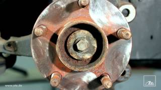 Ate Radnabenreinigungsset 2.1 4