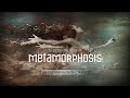 Miniature de la vidéo de la chanson The Crossroads Of Change
