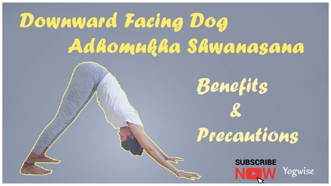 Downward Facing Dog, Adhomukhashwanasana