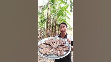 khô cá lóc #shortsvideo #shorts#khocaloc