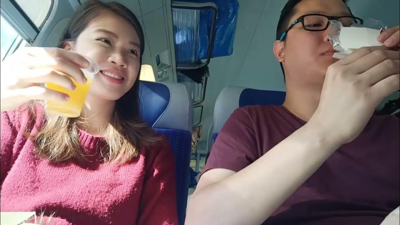 High Speed Train Ride From Paris To Switzerland YouTube high-speed-train-ride-from-paris-to-switzerland-youtube