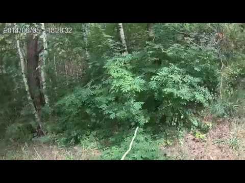 Пчеловодство- избегаем ошибок