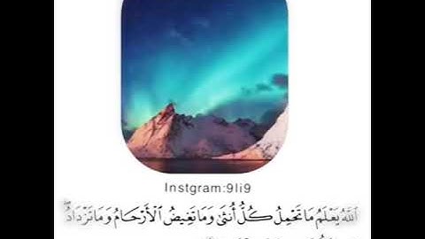 الله يعلم ما تحمل كل انثى للقارئ عبدالرحمن مسعد(مكرررة)🔄