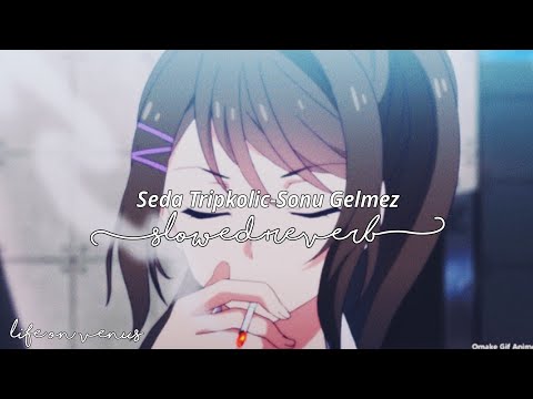 Seda Tripkolic - Sonu Gelmez (slowed)