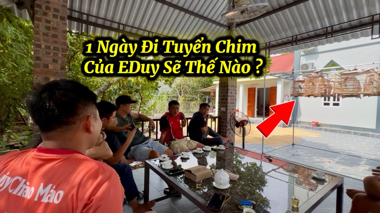 AE Theo Chân E Duy Đi Tuyển Chim Mùa Lông Mới Nhé / Săn Được Vài Chim Đẹp Tố Chất