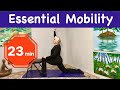 23-Min Basic Stretches for Seniors & Beginners