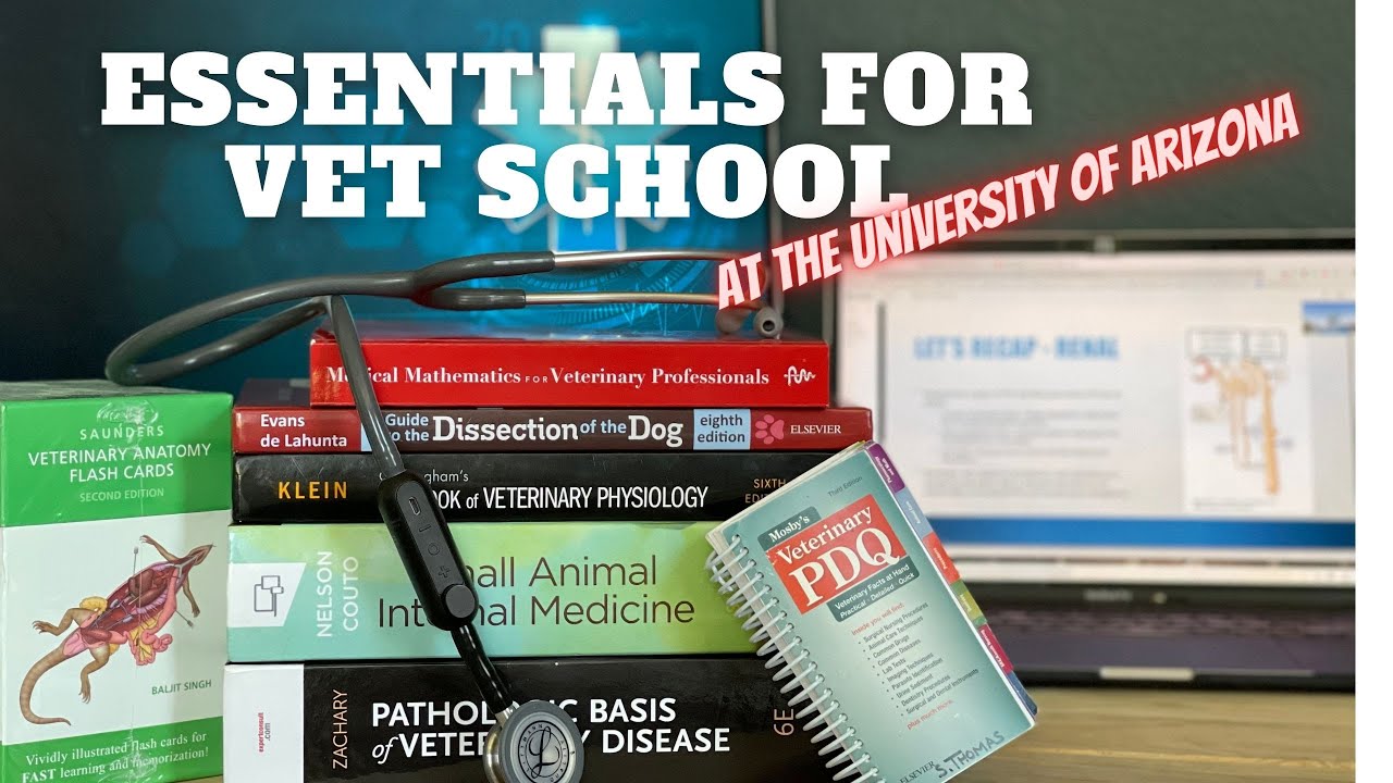 Essentials for the First Year of Vet School at the University of