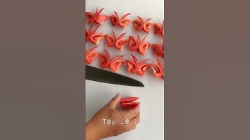 Hô biến trái cà chua thành chú bướm xinh|Cắt tỉa rau củ quả#shorts