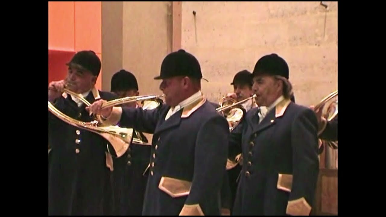 extraits de concerts II