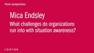 Mica Endsley on Fresh Perspectives