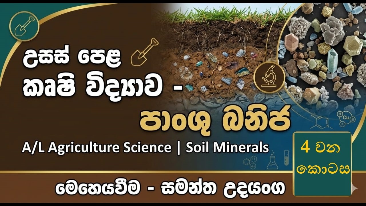 පාංශු ඛනිජ වර්ගීකරණය | ( පස 4 වන කොටස ) | 12 ශ්‍රේණිය කෘෂි විද්‍යාව