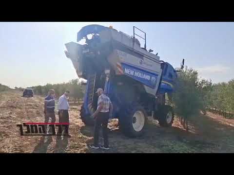 תהליך יצור שמן זית מרתק: מרן רבי שלמה מחפוד בסיור בתהליך יצור שמן זית חדשני בגולן
