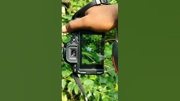 Canon 200d ii outdoor photography 📸 #shorts #youtubeshorts #short #ytshorts #photography