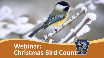 Christmas Bird Count Webinar
