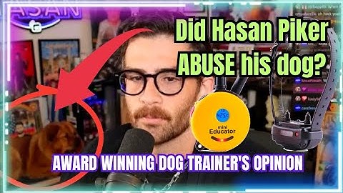 Did Hasan Piker actually ABUSE his dog?? Award winning dog trainer
