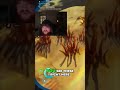 Mind-Blowing Water Slug Trick Revealed! #shorts