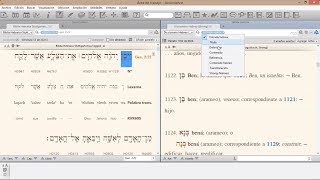 Webinario: Estudios básicos en Hebreo Bíblico con Accordance screenshot 2